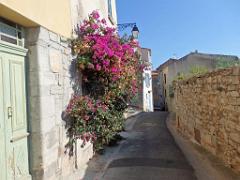 183 HYERES ET SES PALMIERS D13_000020